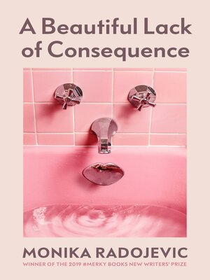 cover image of A Beautiful Lack of Consequence